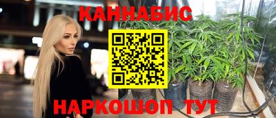 jwh Будённовск